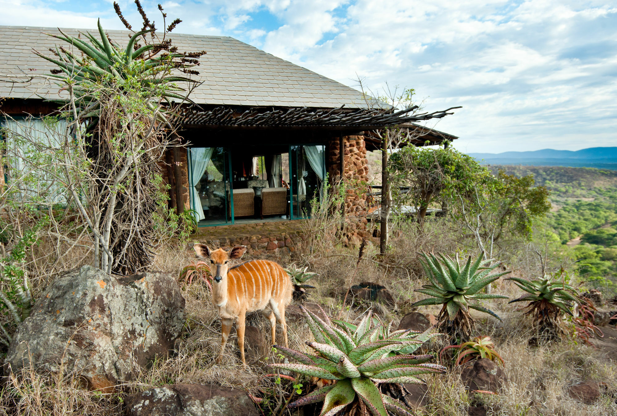 Leopard Mountain Safari Lodge Manyoni Private Game Reserve Eksteriør bilde